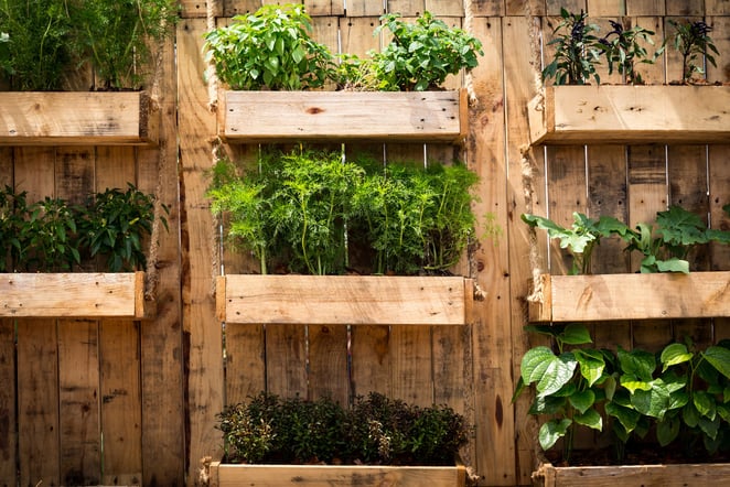 home-vegetable-hanging-garden-ideas-using-wood-fencing-scaled